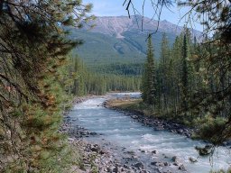 Sunwapta Falls Icefields Parkway Canadian Rockies Canada Roadtrip